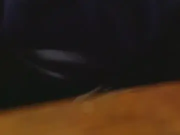 Chaturbate Free Live Porn of daddysmalls_55