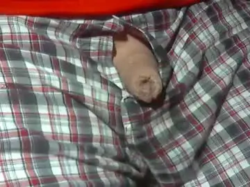 Chaturbate Nude Webcam of beer27