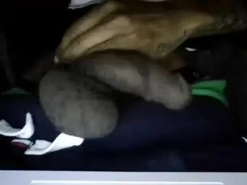 Chaturbate Private Sex Chat of bertdollaz757