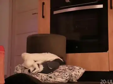 Chaturbate Adult Webcam of evahothead