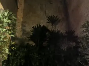 Chaturbate Nude Webcam of maxim_walker