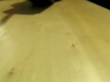 Chaturbate Adult Webcams of bobbuild