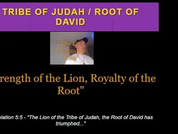 Chaturbate Best Webcam of chazdiniro