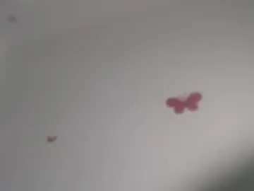 Chaturbate Sex Cam of horny_iris