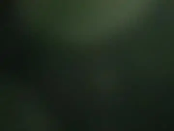 Chaturbate Best Webcam of bomvemcam