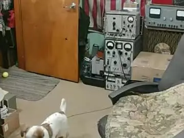 Chaturbate Free Live Porn of randalltotazz