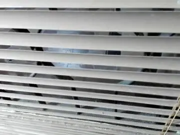 Chaturbate Sex Cam of saraclub_jy