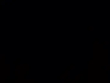 Chaturbate Adult Video Chat of sterng123