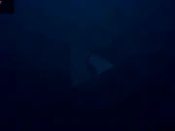 Chaturbate Live Sex Cam of nala_j08