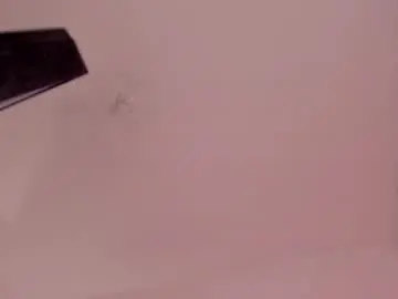 Chaturbate Free Live Porn of zayotto