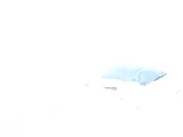 Chaturbate Adult Webcam of manuarango