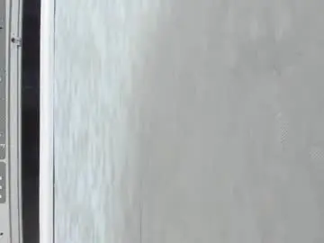 Chaturbate Live Sex of ricobrown777