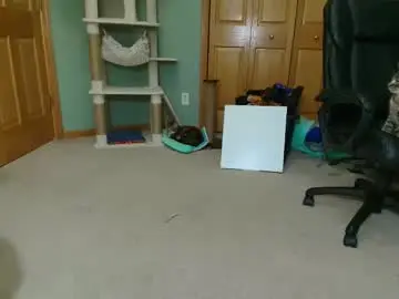 Chaturbate Adult Video Chat of bxdieelatina