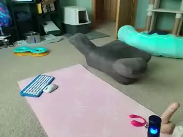 Chaturbate Live Sex of bxdieelatina