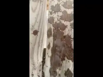 Chaturbate Private Sex Chat of freedombliss