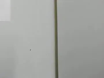 Chaturbate Private Sex Chat of goddess_of_pigs