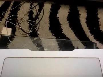 Chaturbate Adult Webcam of mr_little_1