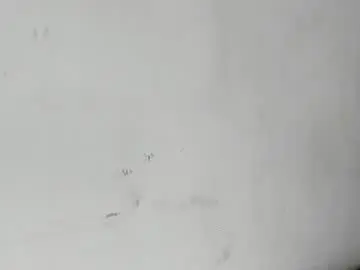 Chaturbate Best live sex cam show of aliciaa93