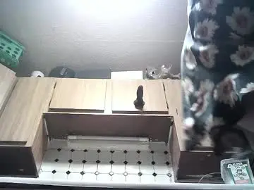 Chaturbate Sex Cam of amituist