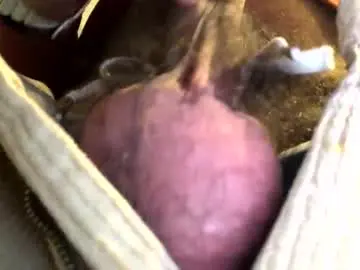 Chaturbate Private Sex Chat of 6990fiko