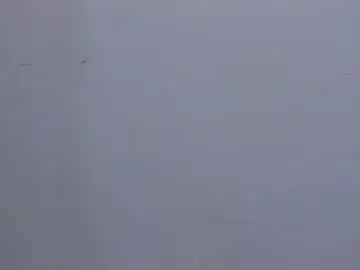 Chaturbate Live Sex of salvatore_damore