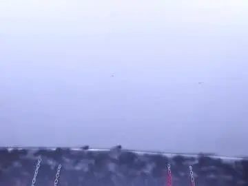 Chaturbate Adult Webcam of armandosteel