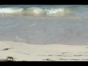 Chaturbate Free Porn Cam of louis_zh