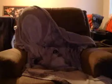 Chaturbate Live Sex of jameswolf777