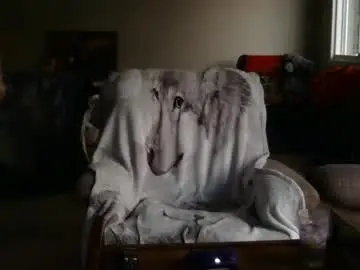 Chaturbate Watch Live Sex Cams of jameswolf777