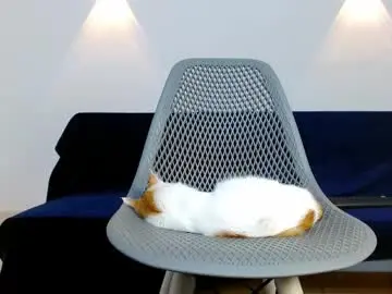 Chaturbate Adult Webcam of br4ndon_cooper