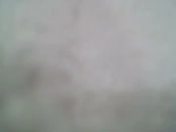 command_me_ from chaturbate