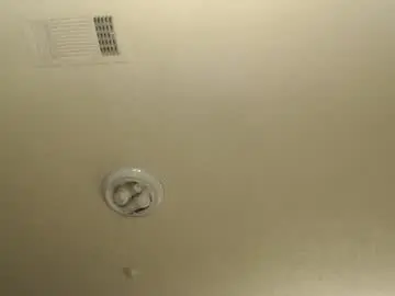 Chaturbate Nude Webcam of nikkimasters1091