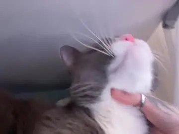 Chaturbate Live Sex of _deepthroatgalactica