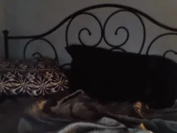 Chaturbate Sex Cam of jimz169