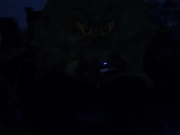 Chaturbate Adult Video Chat of mrsoonicexrated