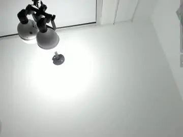 Chaturbate Free Porn Cam of aniie_princess_18