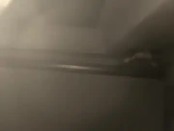 Chaturbate Free Live Porn of misanthrope83