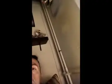 Chaturbate Live Porn of misanthrope83