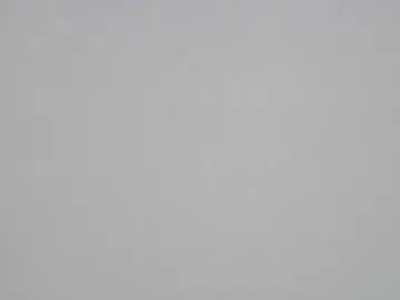 Chaturbate Adult Webcams of kawaiikuma2839