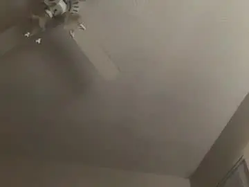 Chaturbate Free Porn Cam of ctr_rtc