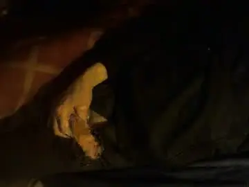 Chaturbate Free Porn Cam of dorsetbiker714