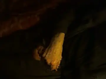 Chaturbate Private Sex Chat of dorsetbiker714