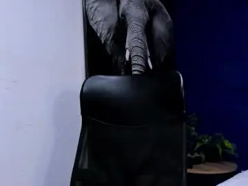 Chaturbate Live Sex of apolo_klein1