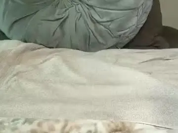 tsj777 from chaturbate