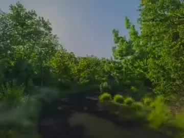 cfnmfriendly from chaturbate