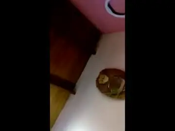 Chaturbate Adult Video Chat of danielledelrey