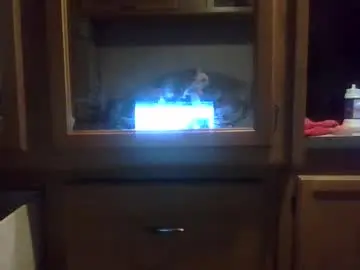 Chaturbate Adult Webcam of hoytme