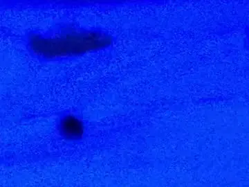 Chaturbate Live Porn of untameddesire69