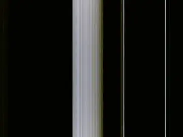 Chaturbate Adult Webcam of tight_pussie