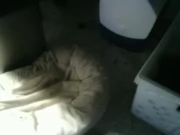 Chaturbate Adult Webcam of balls_deep_209